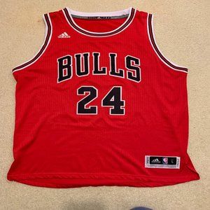Chicago Bulls Brian Scalabrine Jersey